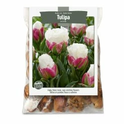 Bulbs Are Easy, Double Late Ice Cream Tulip Bulbs, Assorted Varieties, Home Garden