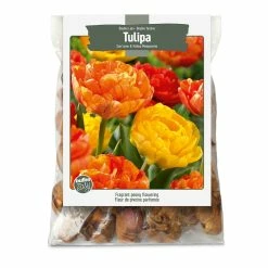 Bulbs Are Easy, Sun Lover Tulip Bulbs, Assorted Varieties, Home Garden