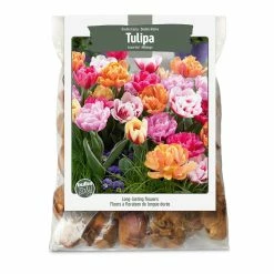 Bulbs Are Easy, Double Early Tulip Bulbs, Assorted Varieties, Home Garden